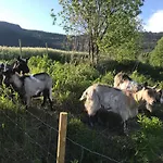 Gardsturisme Sonstebo 3* Bo (Telemark)
