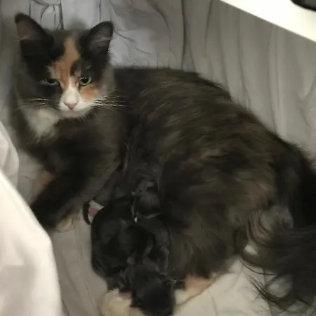 Gardsturisme Sonstebo Gæstehus