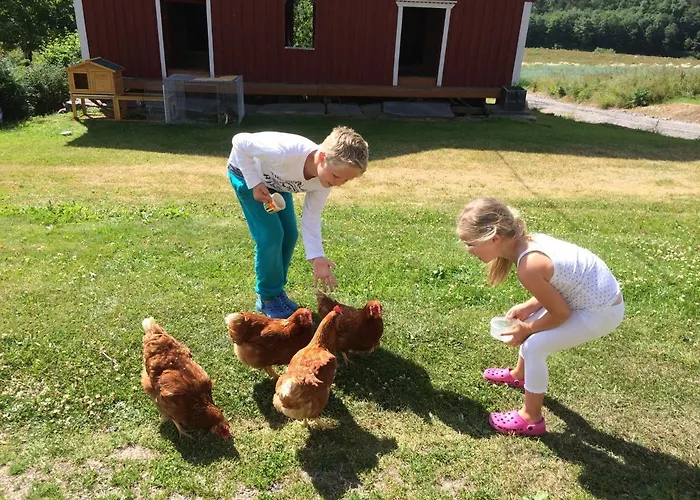 Gardsturisme Sonstebo Гостевой дом Бё