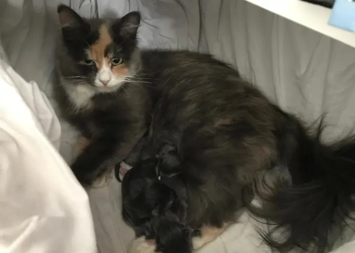 Gardsturisme Sonstebo Гостевой дом