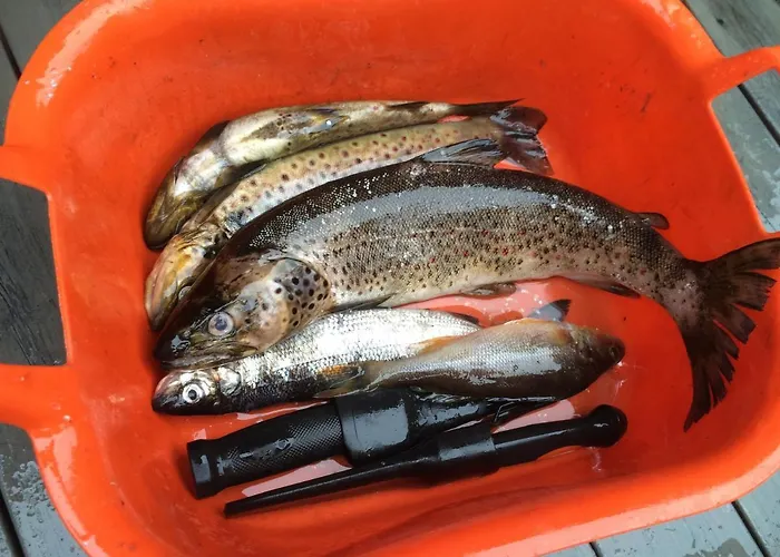 Gardsturisme Sonstebo 3* Бё