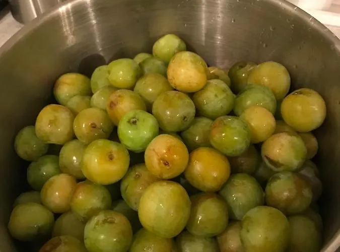 Gardsturisme Sonstebo