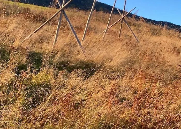 Gardsturisme Sonstebo