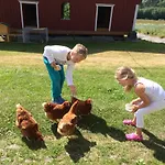 Gardsturisme Sonstebo Affittacamere Bo (Telemark)