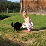 Gardsturisme Sonstebo Bo (Telemark)