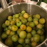 Gardsturisme Sonstebo