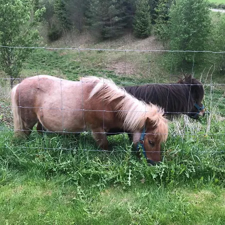 Gardsturisme Sonstebo Gasthuis 3*