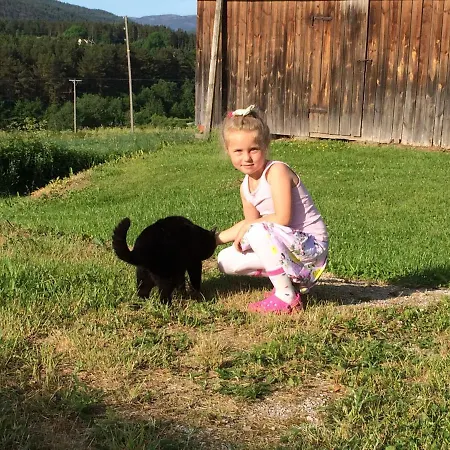 Gardsturisme Sonstebo Bo (Telemark)