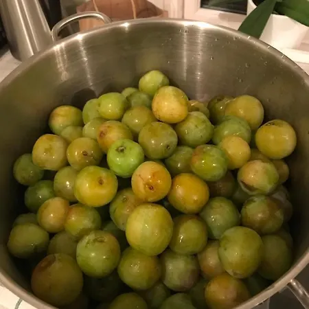 Gardsturisme Sonstebo