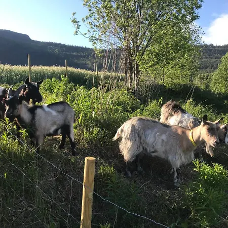 Gardsturisme Sonstebo * Bo (Telemark)