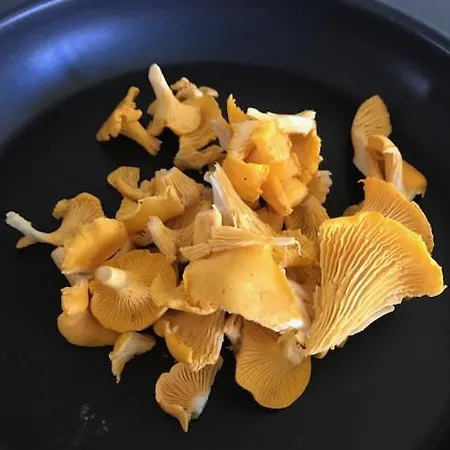 Πανσιόν Gardsturisme Sonstebo Bo (Telemark)