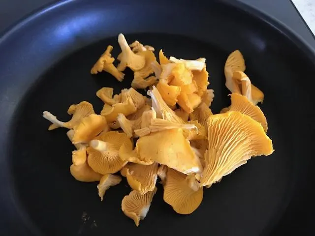 招待所 Gardsturisme Sonstebo 伯